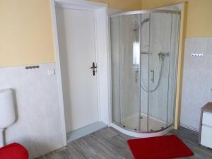 eine Dusche im Bad mit einem roten Teppich in der Unterkunft Ferienwohnung am Yachthafen in Ueckermünde + 6 Fotos
