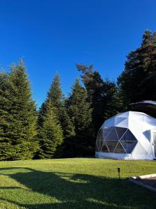 a greenhouse in the middle of a grass field at Silence Glamp - Glamping Bieszczady in Ustrzyki Dolne +45 photos