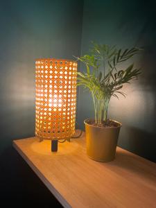 a lamp on a table next to a potted plant at Chez Elo in Tours