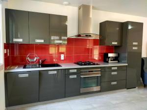 a kitchen with gray cabinets and red tiles at Le Plain-pied du Pêcheur - Maison avec terrasse entre Loire, Via Velay et Le Puy in Brives-Charensac