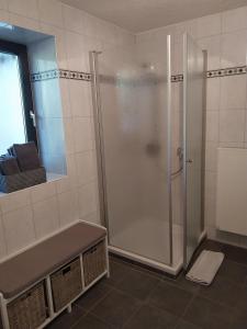 a bathroom with a shower and a sink at Ferienwohnung EifelReich in Dreiborn