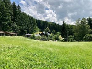 a field of green grass with houses and trees at Ferien im Schwarzwald Ferienwohnung Freiamt in Freiamt