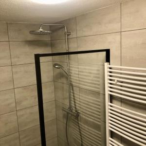 a shower with a glass door in a bathroom at Ferien im Schwarzwald Ferienwohnung Freiamt in Freiamt