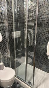 a bathroom with a shower and a toilet at Osteria Locanda Veneta in Mirano +19 photos