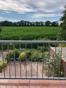 Zahrada ubytování Ferienwohnung Berta 25508