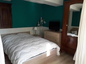 a bedroom with a bed and a mirror and a television at La Tanière in Bains-les-Bains +3 photos