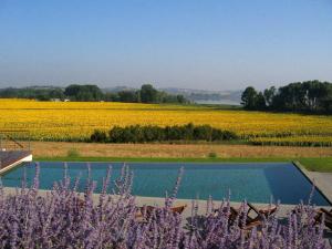 a swimming pool in front of a field of flowers at Tuscan Escape with Pool in Chiusi
