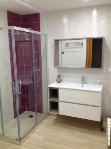 a bathroom with a sink and a shower at Casa abuela Gaspara I in Villalcázar de Sirga