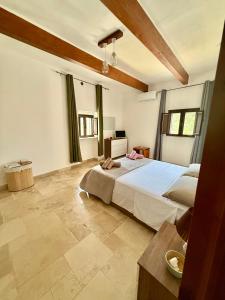 una camera da letto con un letto grande in una stanza di Nidadi Trulli d'Itria a Martina Franca