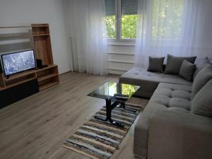 a living room with a couch and a coffee table at Apartman Dijana in Subotica