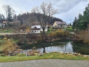 a pond of water with houses in the background at Apartamenty Nad Potokiem koło Karpacza in Staniszów