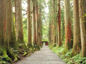 Ein Garten an der Unterkunft Hotel Tsubakino