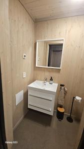 a bathroom with a white sink and a mirror at Sjåen på Balsnes Gård in Hitra +36 photos