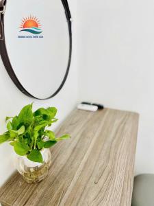 a plant in a vase on a table with a mirror at Sunrise Hotel Thiên Cầm in Ha Tinh