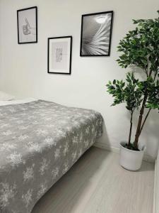 a bedroom with a bed and a potted plant at Slava Hygge Rooms in Nakskov