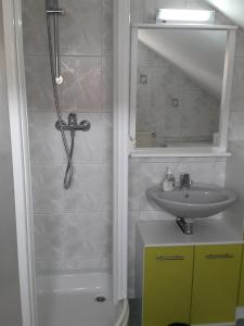 a bathroom with a shower and a sink at Ferienhaus am Radweg in Brotterode-Trusetal +52 photos