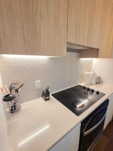 een keuken met een spoelbak en een aanrechtblad bij Dream Apartment in Longueuil