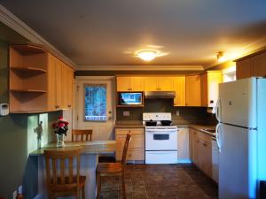a kitchen with wooden cabinets and a white refrigerator at Eagle's Guest Suits in Victoria
