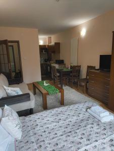 a hotel room with a bed and a living room at Evrika home 21 in Pamporovo