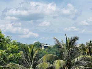 a group of palm trees in front of a building at TranquilZ in Kandy