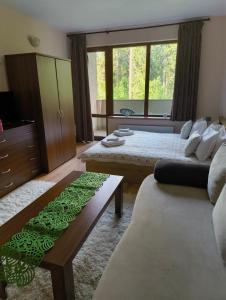 a living room with two beds and a couch at Evrika home 21 in Pamporovo