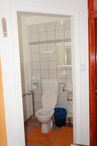 a bathroom with a white toilet and a sink at Apartment Pokos in Varaždinske Toplice