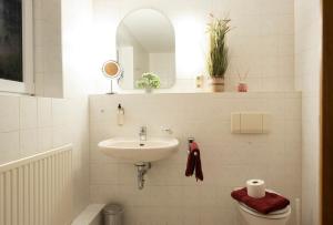 a bathroom with a sink and a toilet at Schnuckenstube Souterrain im Grünen in Schneverdingen +19 photos