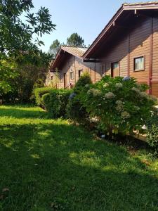 Zahrada ubytování Charming Studio in Matas with Pool, 20 m² + 5 fotografií