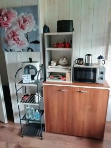 a kitchen with a counter with a microwave and a shelf at Chambre cosy in Buhl