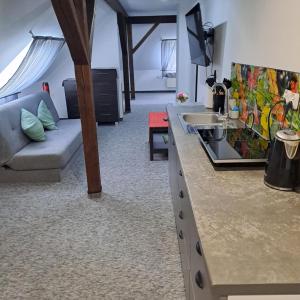 ein Wohnzimmer mit einem Sofa und einer Küchentheke in der Unterkunft Apartament nr 11 in Karpacz