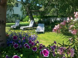 Gallery image of Pension Schmidt in Podersdorf am See