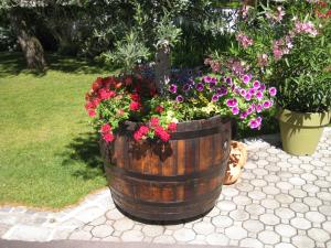 Gallery image of Pension Schmidt in Podersdorf am See +37 photos