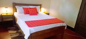 a bed with red pillows on it in a room at Africa Sky Lodge, Bar and Restaurant in Karatu