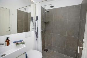 a bathroom with a shower and a toilet and a sink at Lovely "Studio Solbakke" At Asmaløy, Hvaler in Rød +13 photos