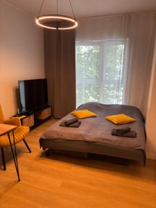 a bedroom with a bed and a large window at TOTU TODAY-PLAC WOLNOŚCI 6 APARTAMENTY, Faktura VAT, self check-in in Poznań