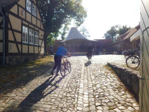 Đạp xe trong hoặc quanh Wooden Holiday Home by Lake Scharmützelsee