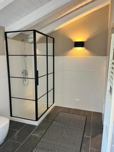 Un baño con ducha de cristal y un inodoro. en Casa Balau, en Costigliole dʼAsti
