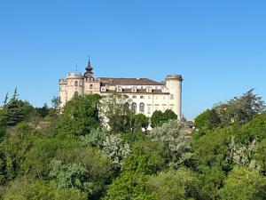 un castillo en la cima de una colina con árboles en Casa Balau, en Costigliole dʼAsti