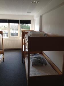 Zimmer mit 3 Etagenbetten und einem Fenster in der Unterkunft Fyrtårn Tommerup Hostel in Tommerup