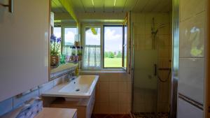 a bathroom with a sink and a shower at Haus Röthelsteinblick in Bad Aussee +40 photos