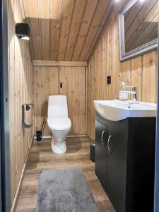 a bathroom with a toilet and a sink at Mountain Cabin With Hardangervidda View in Geilo