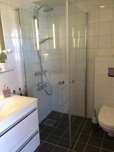 un baño con ducha y WC en Central on Beitostølen with walking distance to everything, en Beitostølen