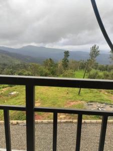 Naturlandskabet i nærheden af lejligheden