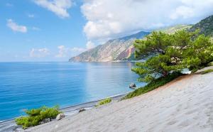 a beach with a tree and a body of water at Minaos in Kournás +28 photos