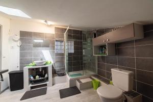een badkamer met een douche en een toilet. bij Villa Marie Carmen in Rivesaltes