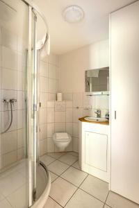 a bathroom with a shower and a toilet and a sink at Annika Apartment in Andermatt +6 photos