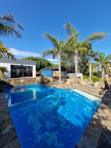 una piscina blu con palme e una casa di The Seabird Cottage a Gqeberha