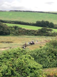a group of people riding horses in a field at Gannel View Apartment in Newquay