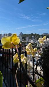 eine Gruppe gelber Blumen auf einem Balkon in der Unterkunft Nid aigle 3 Suites in Rio de Janeiro