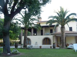 a house with palm trees in front of it at Il Gheriglio in Torano Nuovo
